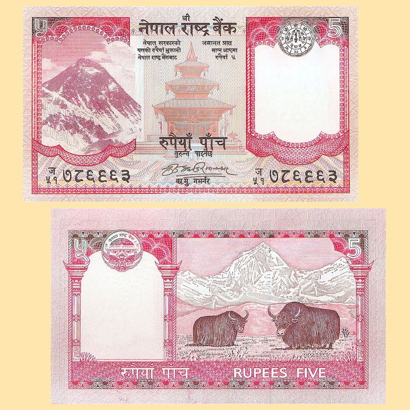 Nepal - Billete 5 Rupias 2008