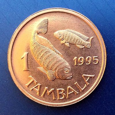 Malawi - Moneda 1 Tambala 1995