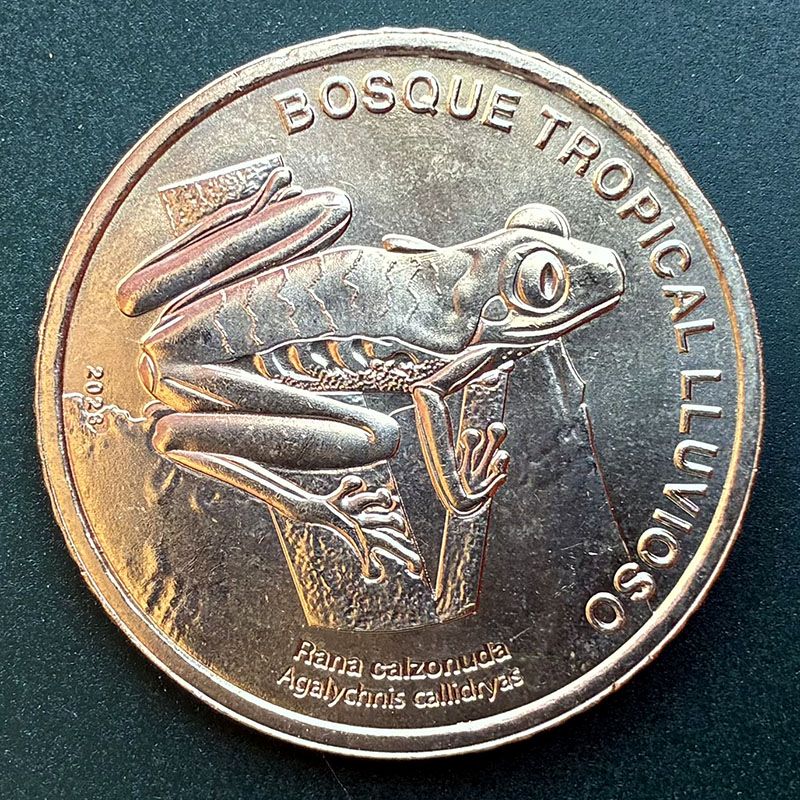 Costa Rica - Coin 50 Colones 2023 - Frog