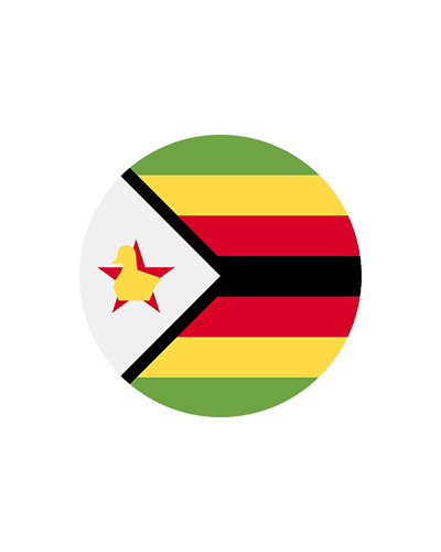 Coins from Zimbabwe