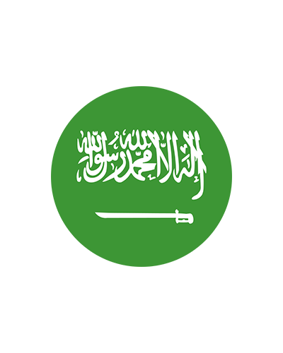 Coins from Saudi Arabia