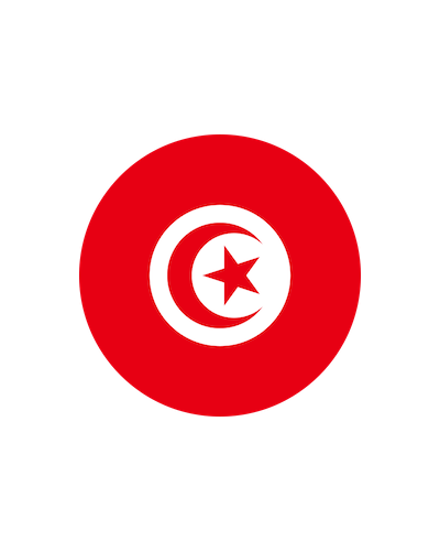 Coins from Tunisia